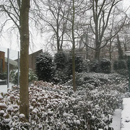 De Dongen