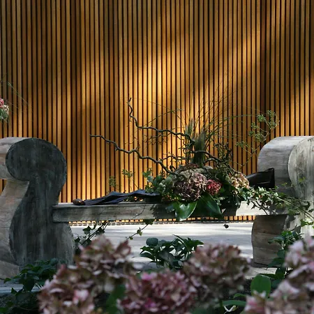 别墅酒店 酒店 3*